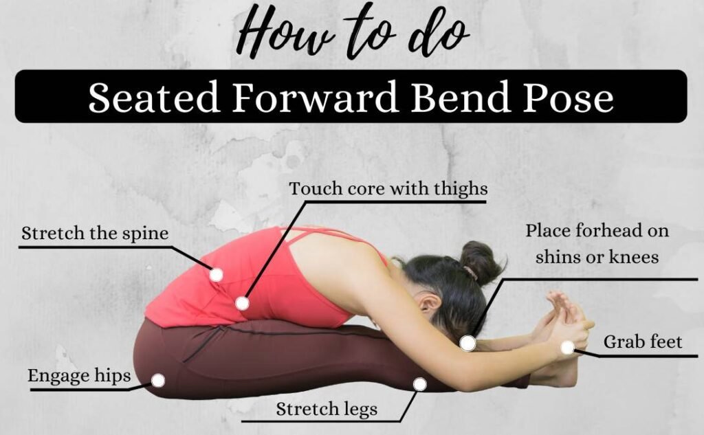 Seated Forward Ben Pose Paschimottanasana