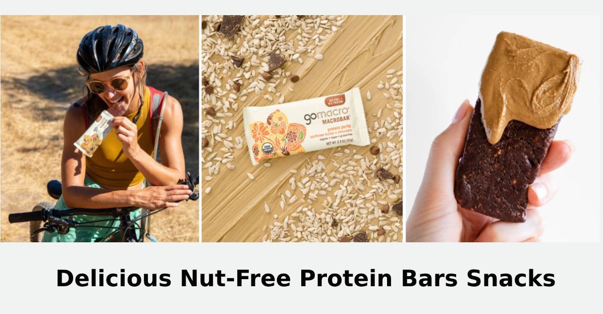 Delicious Nut-Free Protein Bars Snacks